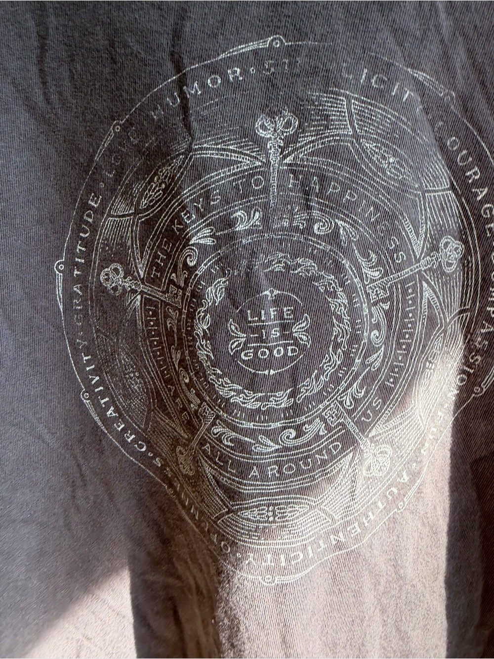 Life Is Good Men's Short-Sleeve Graphic Tee in Charcoal Gray